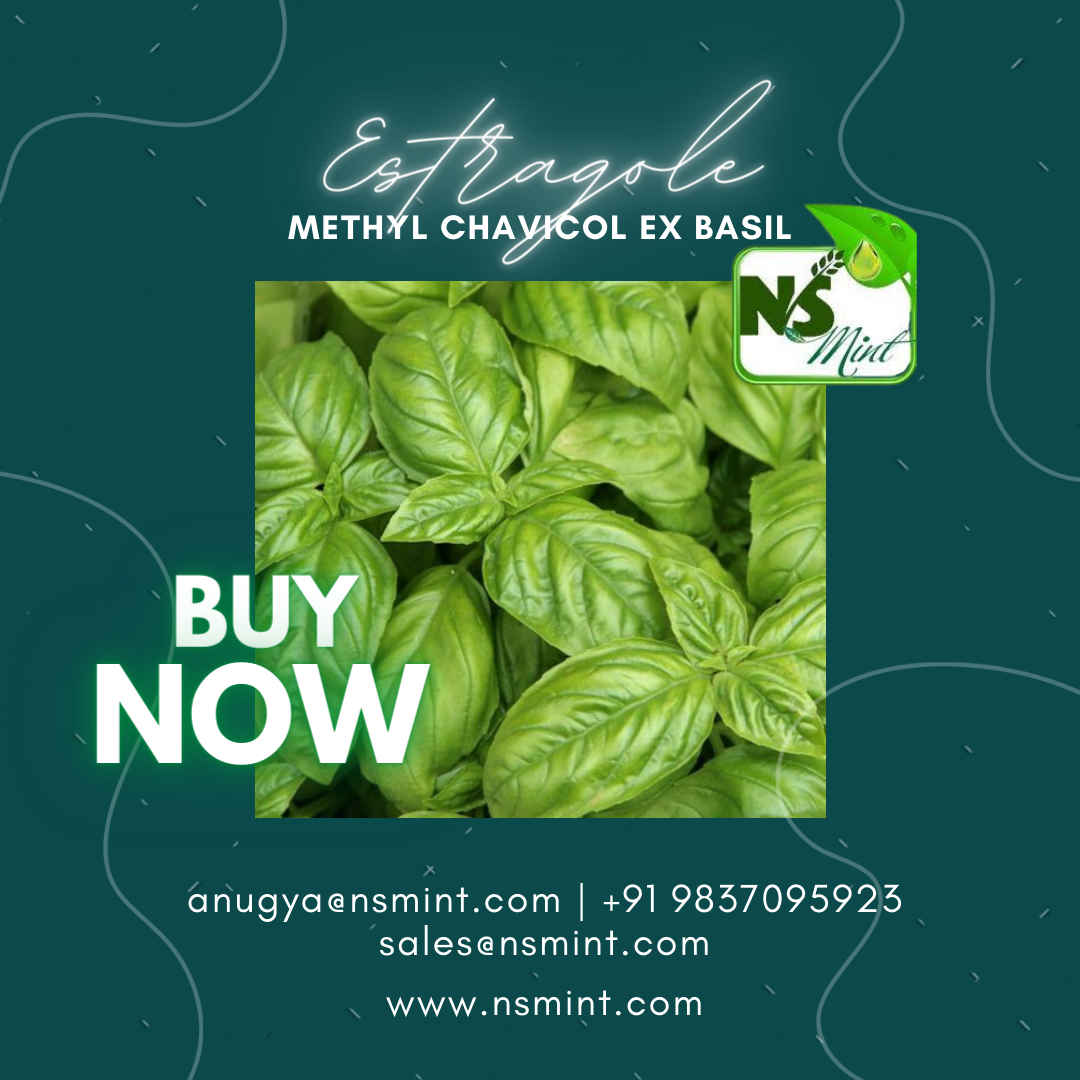 Methyl Chavicol, Natural (Estragole) product image