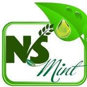 N S Mint Products Pvt Ltd logo