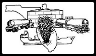 Florida Sugar & Molasses Exchange, Inc. logo