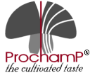 Prochamp b.v. logo