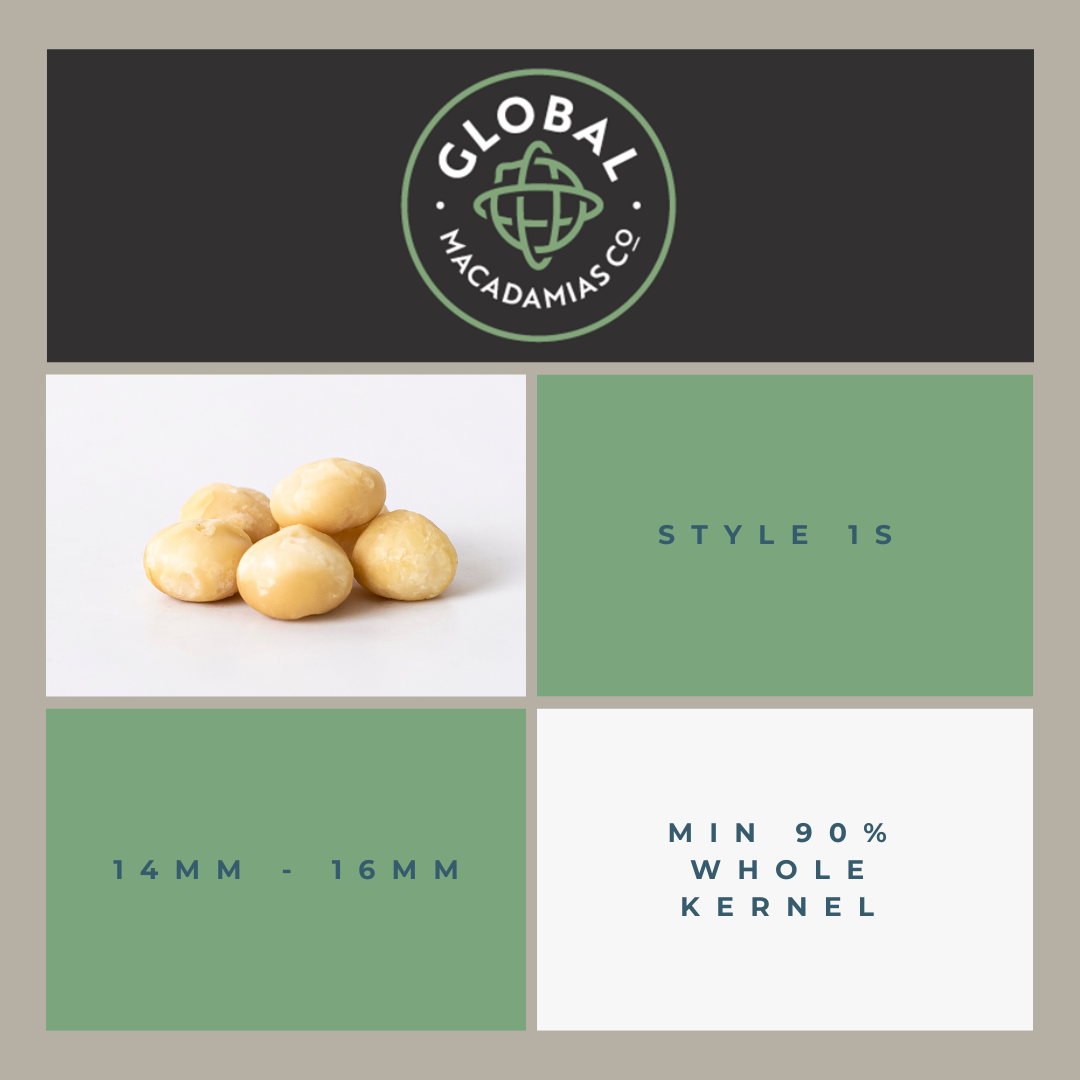 Pasteurised Macadamia Nut Kernel product image