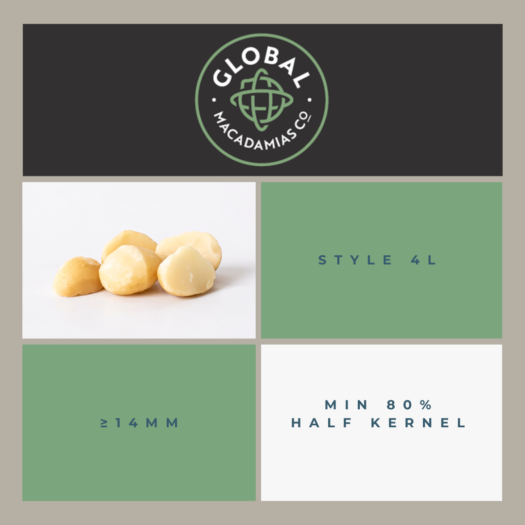 Pasteurised Macadamia Nut Kernel product image