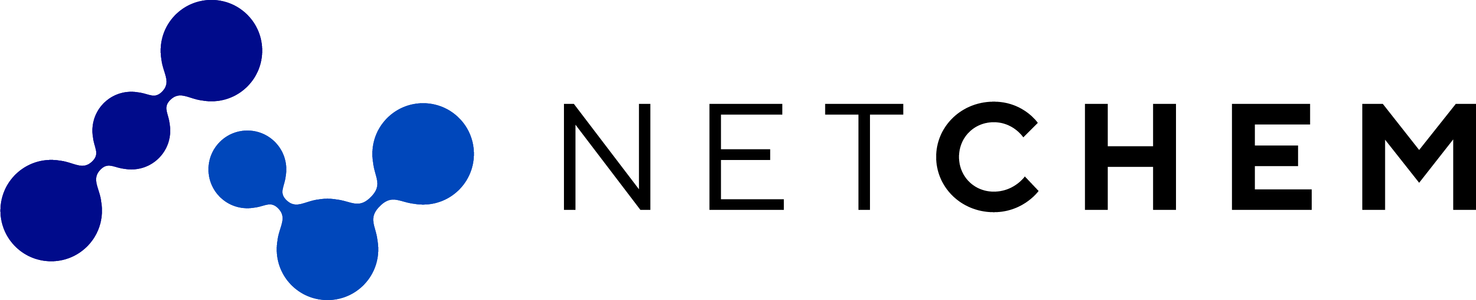Netchem Inc logo
