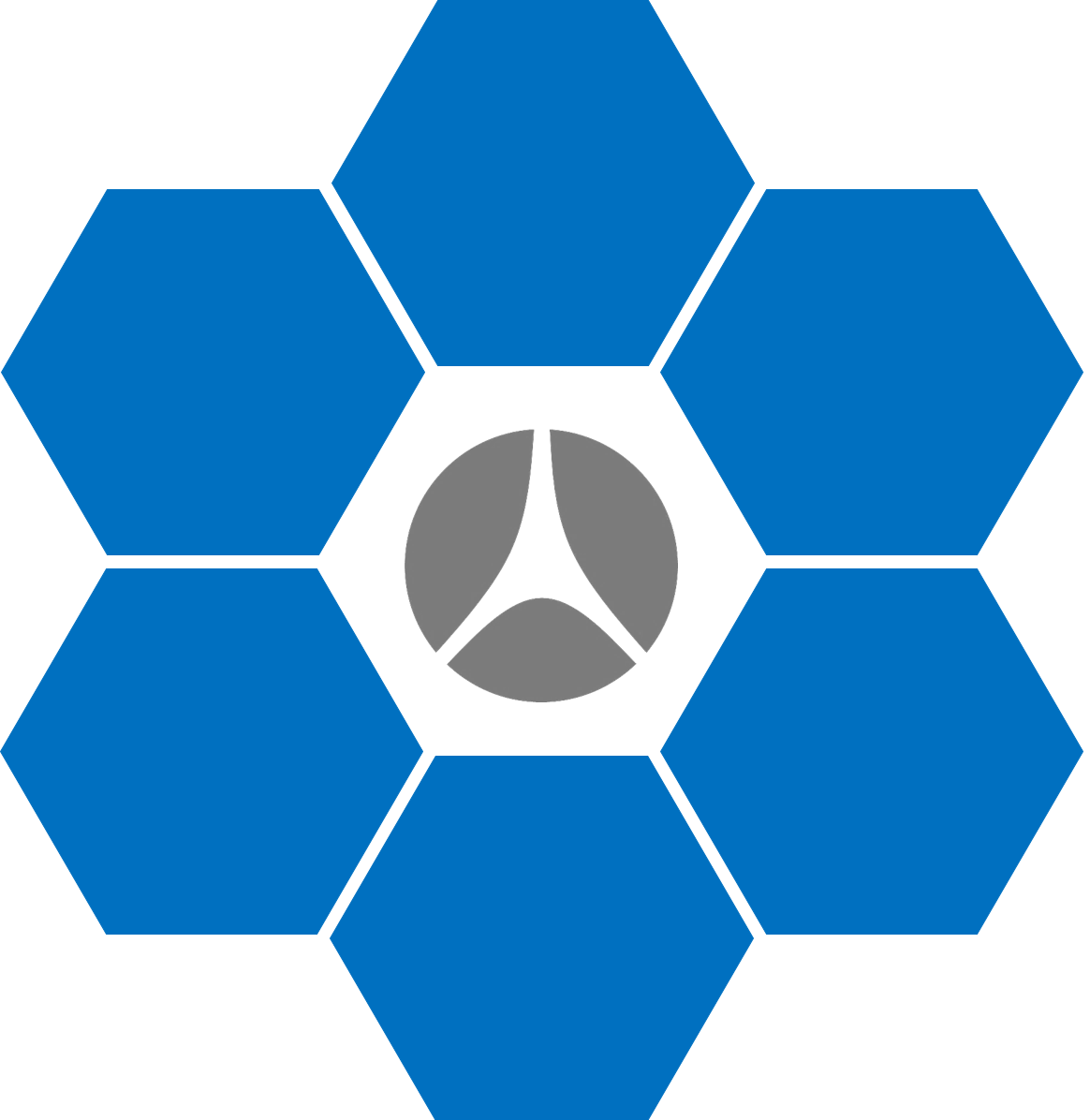 Catasynth Speciality Chemicals Pvt Ltd logo