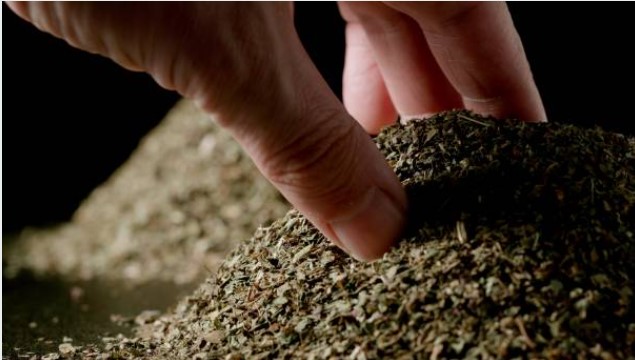 OREGANO (WHOLE) product image