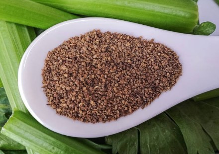 CELERY SEED (GROUND) product image
