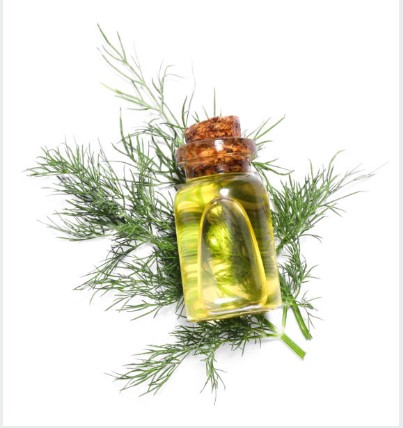 OIL DILL WEED product image