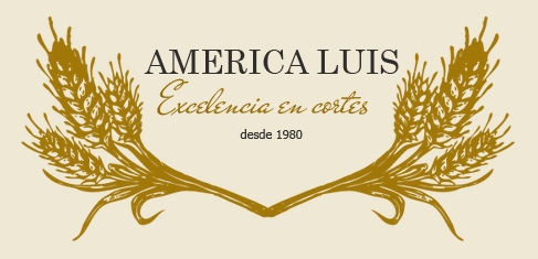 DISTRIBUIDORA DE TERNERA AMERICA LUIS logo