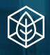 Dallas One Solutions logo