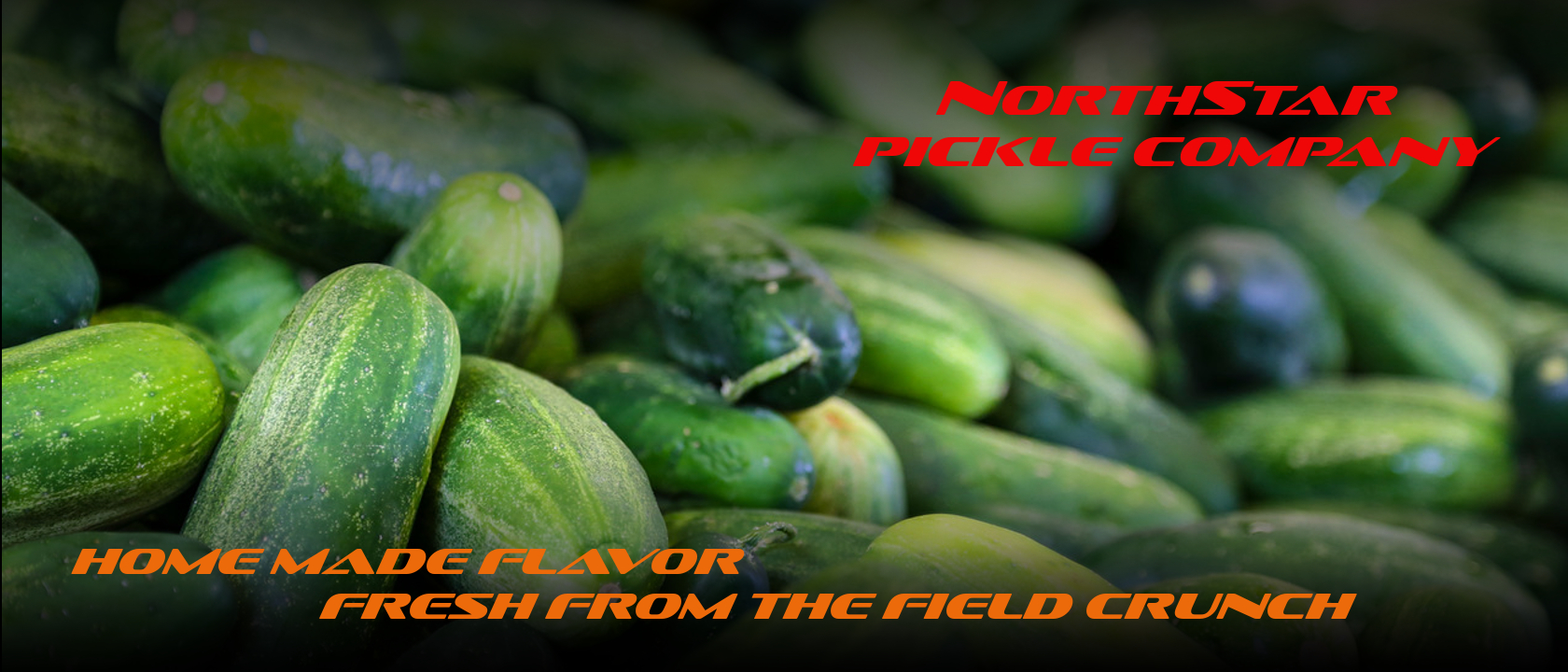 NORTHSTAR PICKLE CO LLC logo