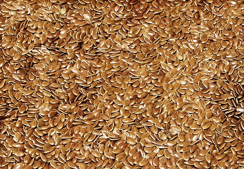 flax - wholeseed product image