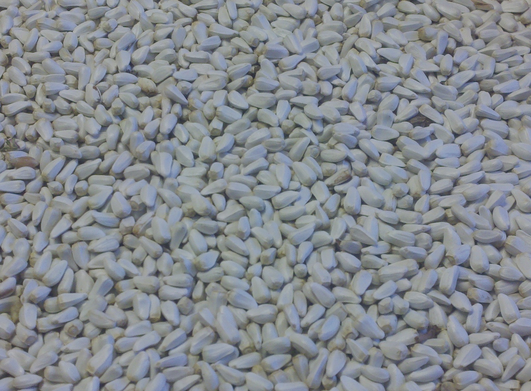 safflower product image