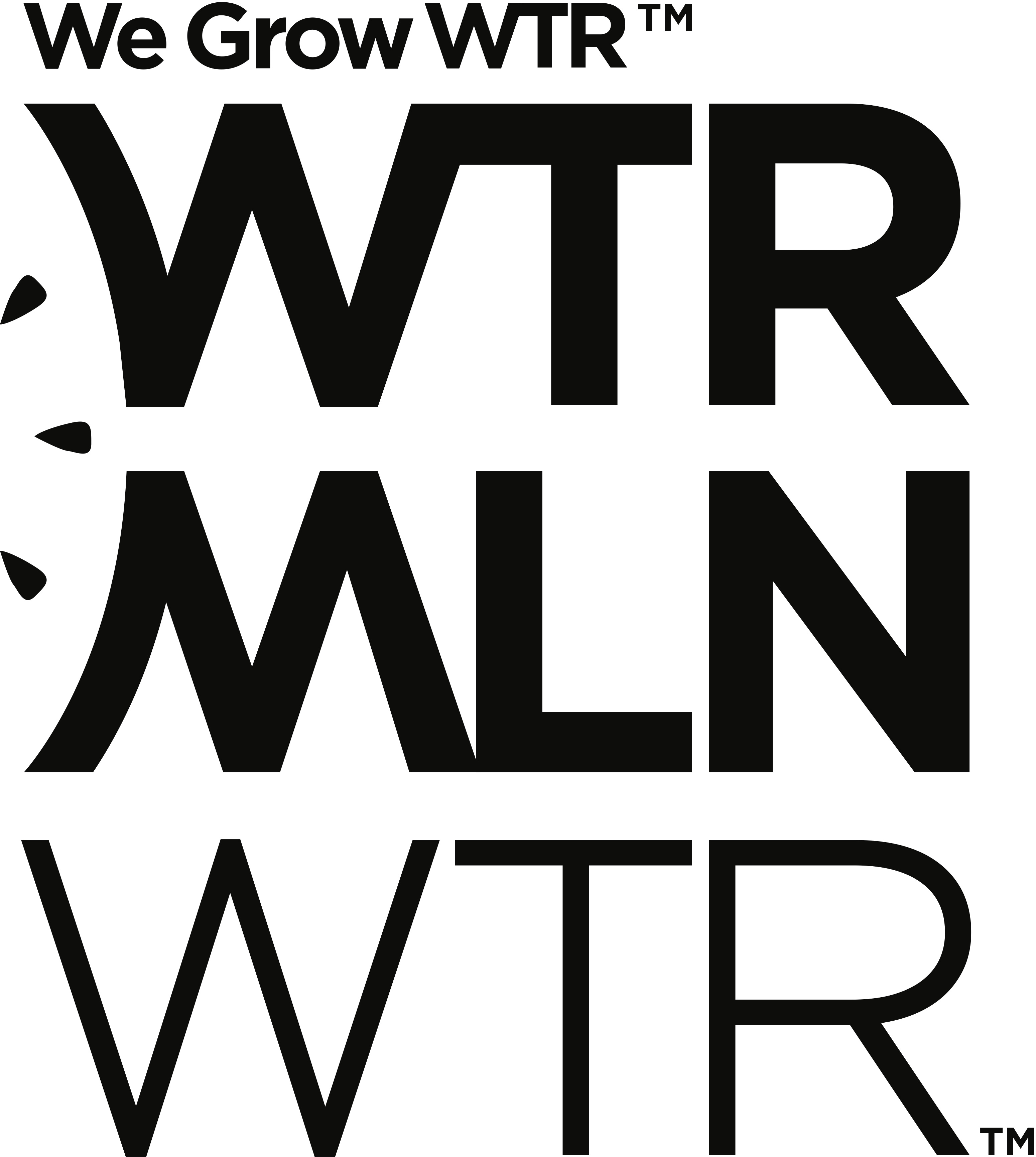 World Waters LLC logo