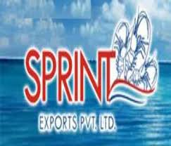 Sprint Exports Pvt Ltd logo