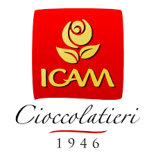 ICAM S.p.A. logo
