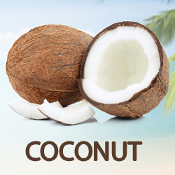 Coconut Milk Powder (organic, vegan) product image