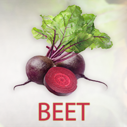 Beet Root Juice Powder (organic) product image