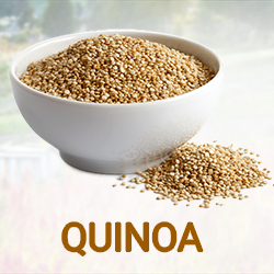 Quinoa Powder (organic) product image