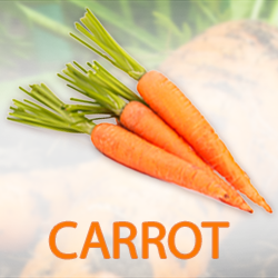 Carrot Juice Powder (organic) product image