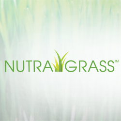 NutraGrass (Wheat Grass Juice Powder, Organic) product image