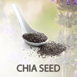 Chia Protein Powder (organic) product image