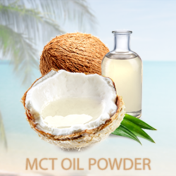 MCT Oil Powder 70% (organic) product image