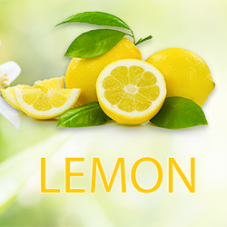 Lemon Juice Powder product image