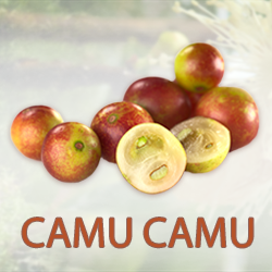 Camu Camu Juice Powder 20% Vit. C product image