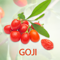 Goji Powder 45% product image