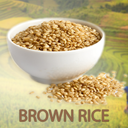 Brown Rice Protein Powder 80% (organic) product image