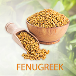 Fenugreek Powder (organic) product image