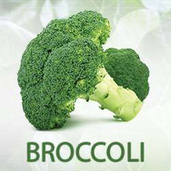 Broccoli Powder (organic) product image