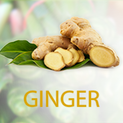 Ginger Powder (organic) product image