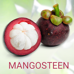 Mangosteen Super ORAC Powder product image