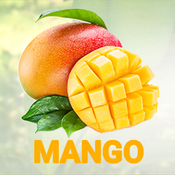 Mango Fruit Powder (organic) product image