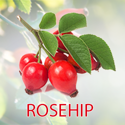 Rosehip Powder (organic) product image