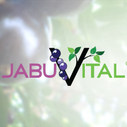 JabuVital ® (Jabuticaba Juice Powder) product image