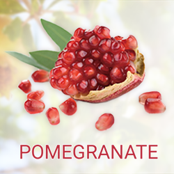 Pomegranate Juice Powder product image