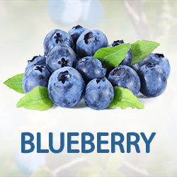 Blueberry Juice Powder product image