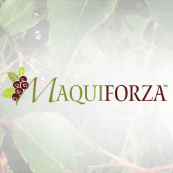 MaquiForza® (Freeze Dried Powder, organic) product image