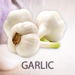 Garlic Powder (organic) product image