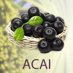 Acai Juice Powder (organic) product image