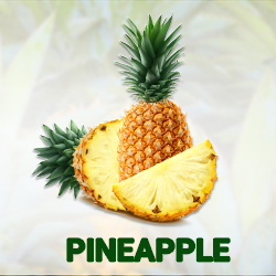 Pineapple Juice Powder product image