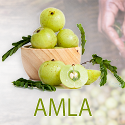 Amla Fruit Powder (organic) product image