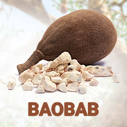 Baobab Powder (organic) product image