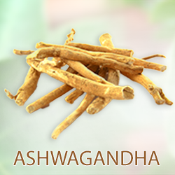 Ashwagandha Powder (organic) product image