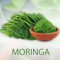 Moringa Leaf Powder (organic) product image