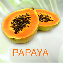 Papaya Juice Powder (organic) product image