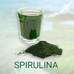 Spirulina Powder (organic) product image