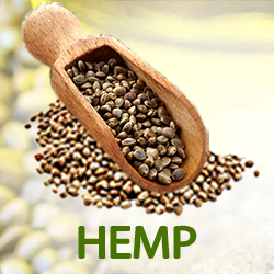 Hemp Protein Powder 45% (organic) product image